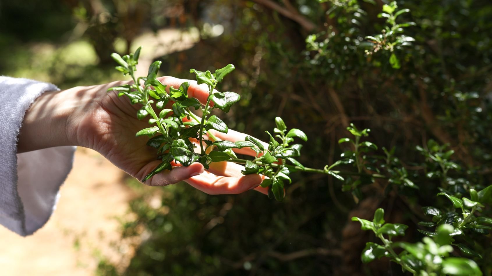 1-Nov-14-2025-04-45-16-7685-AM