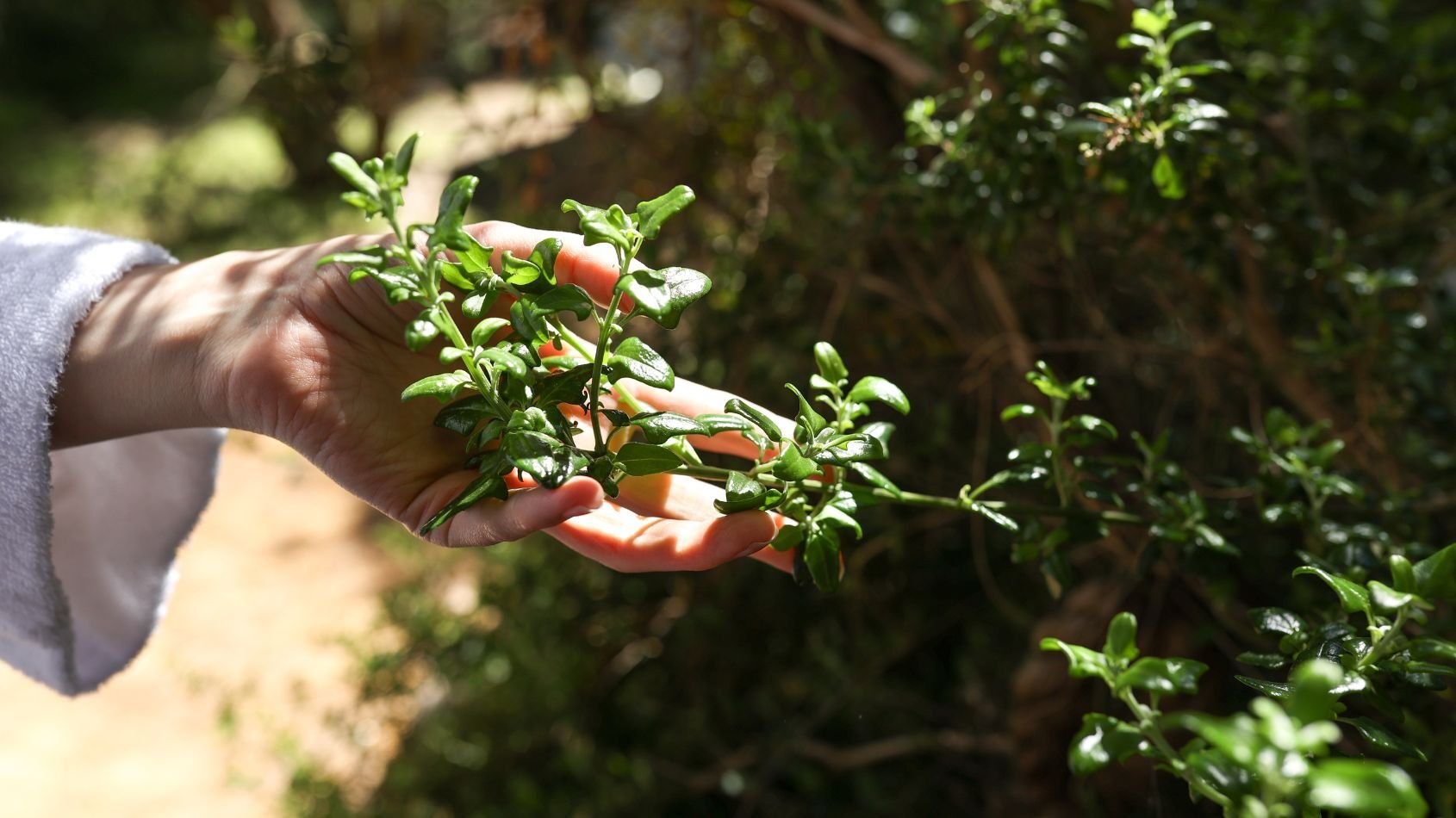 3-Nov-24-2025-05-09-29-7368-AM