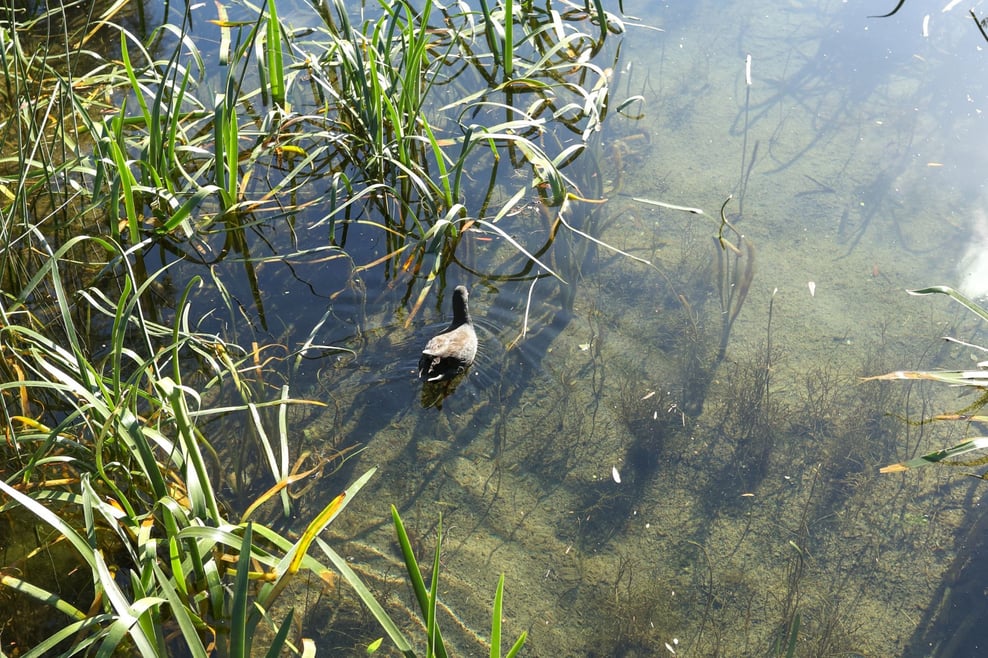 HubSpot - 2000 x 1333 px (6)