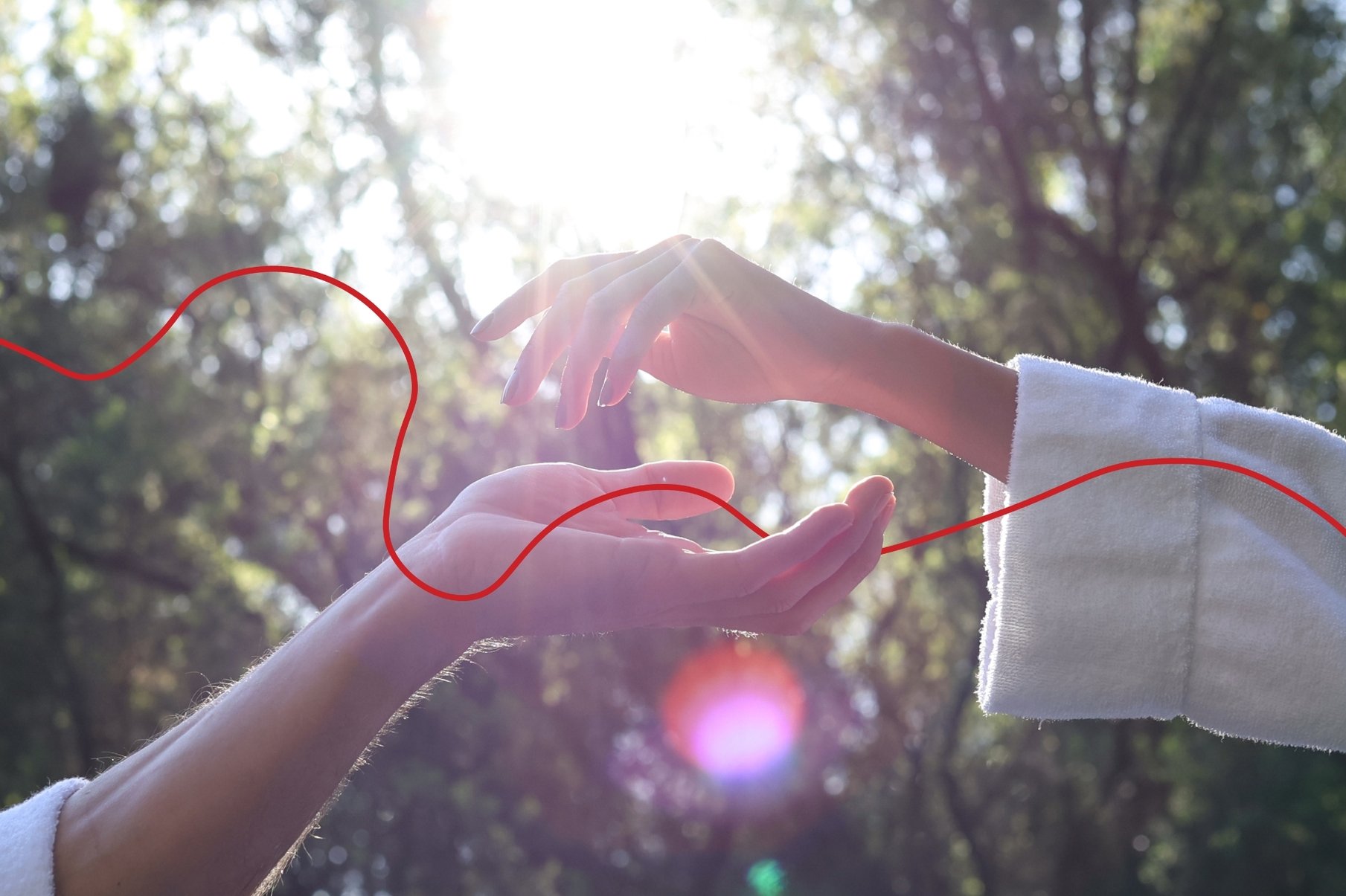 Two hands joining in the centre