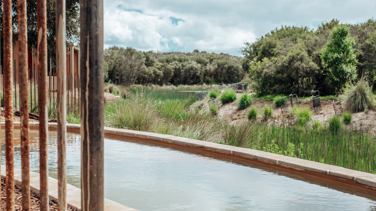 Peninsula Suite private pool