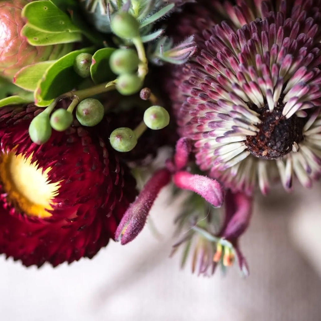 An arrangement of flowers