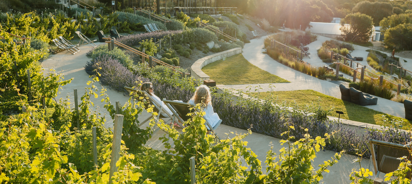 A wide shot of the Food Bowl