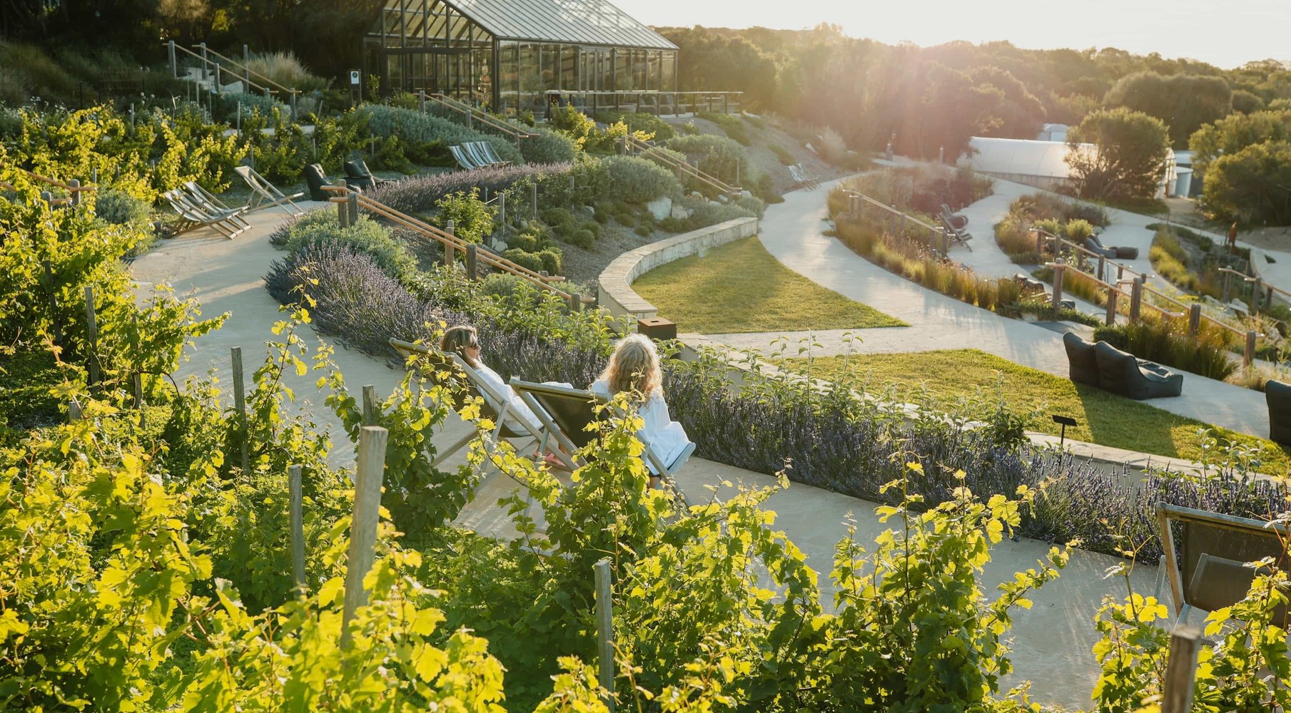 A wide shot of the Food Bowl