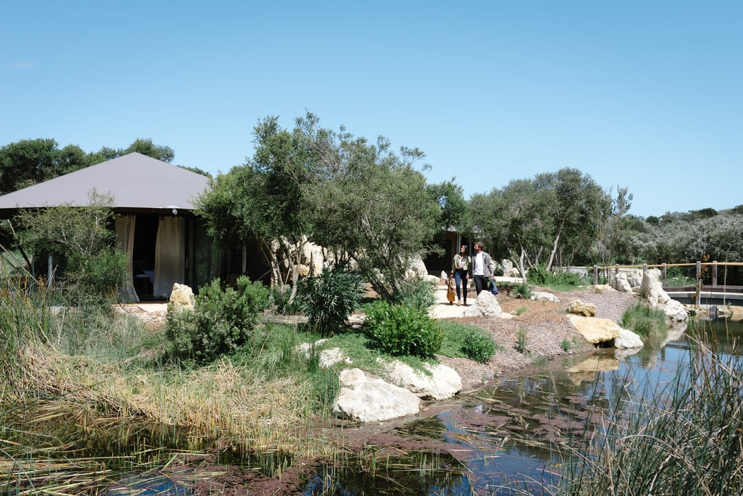 A wide shot of the Glamping tents