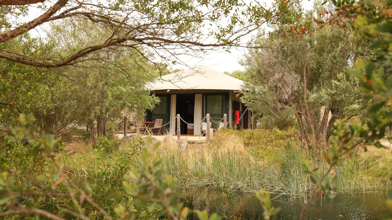 Wide shot of the Glamping tent outside