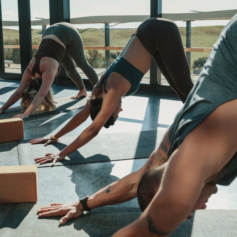 A group of people doing yoga in the Glasshouse