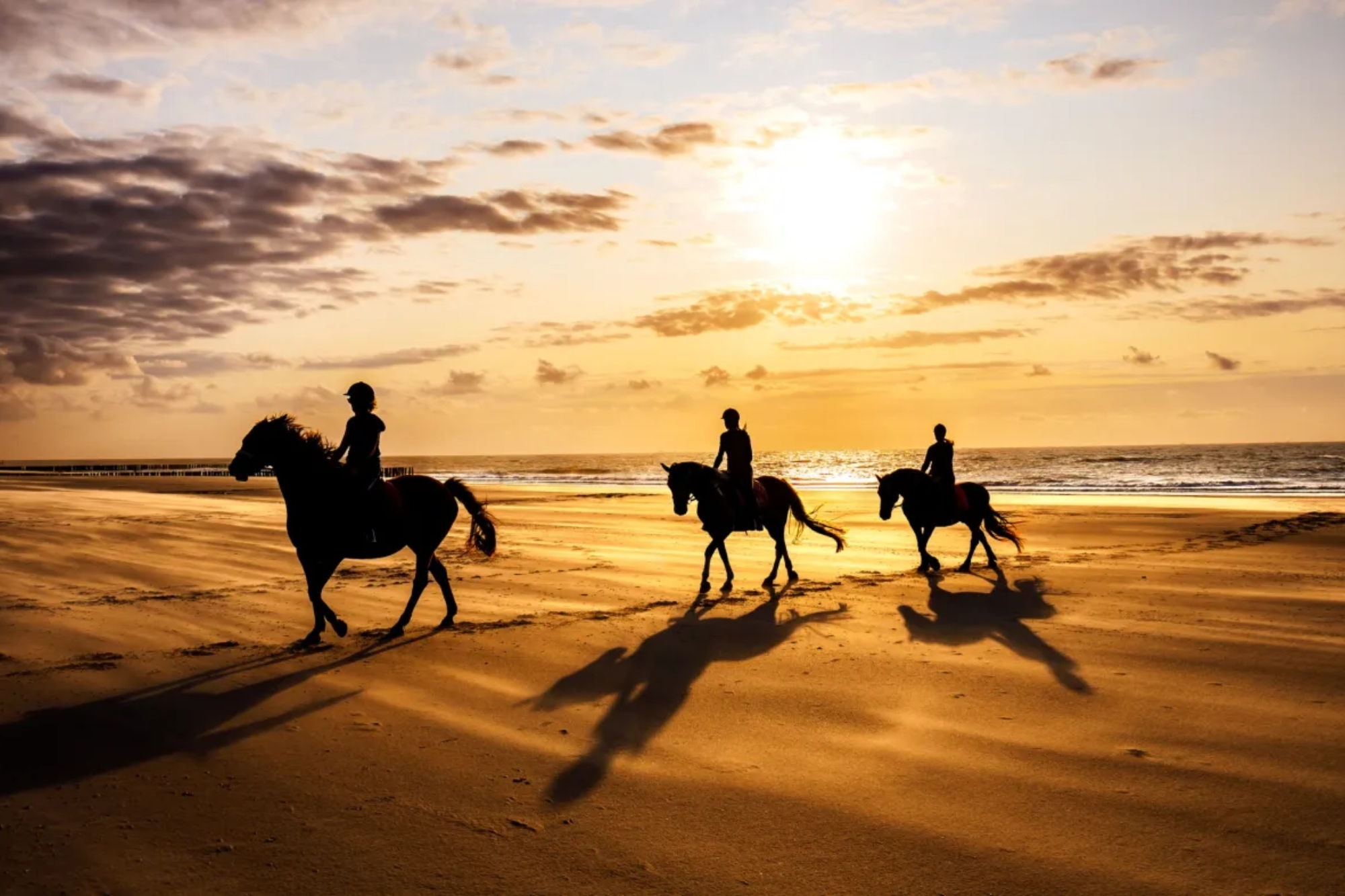 People riding on horses at sunset