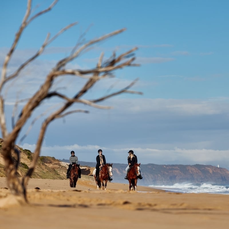 Three people on horses riding along the beach