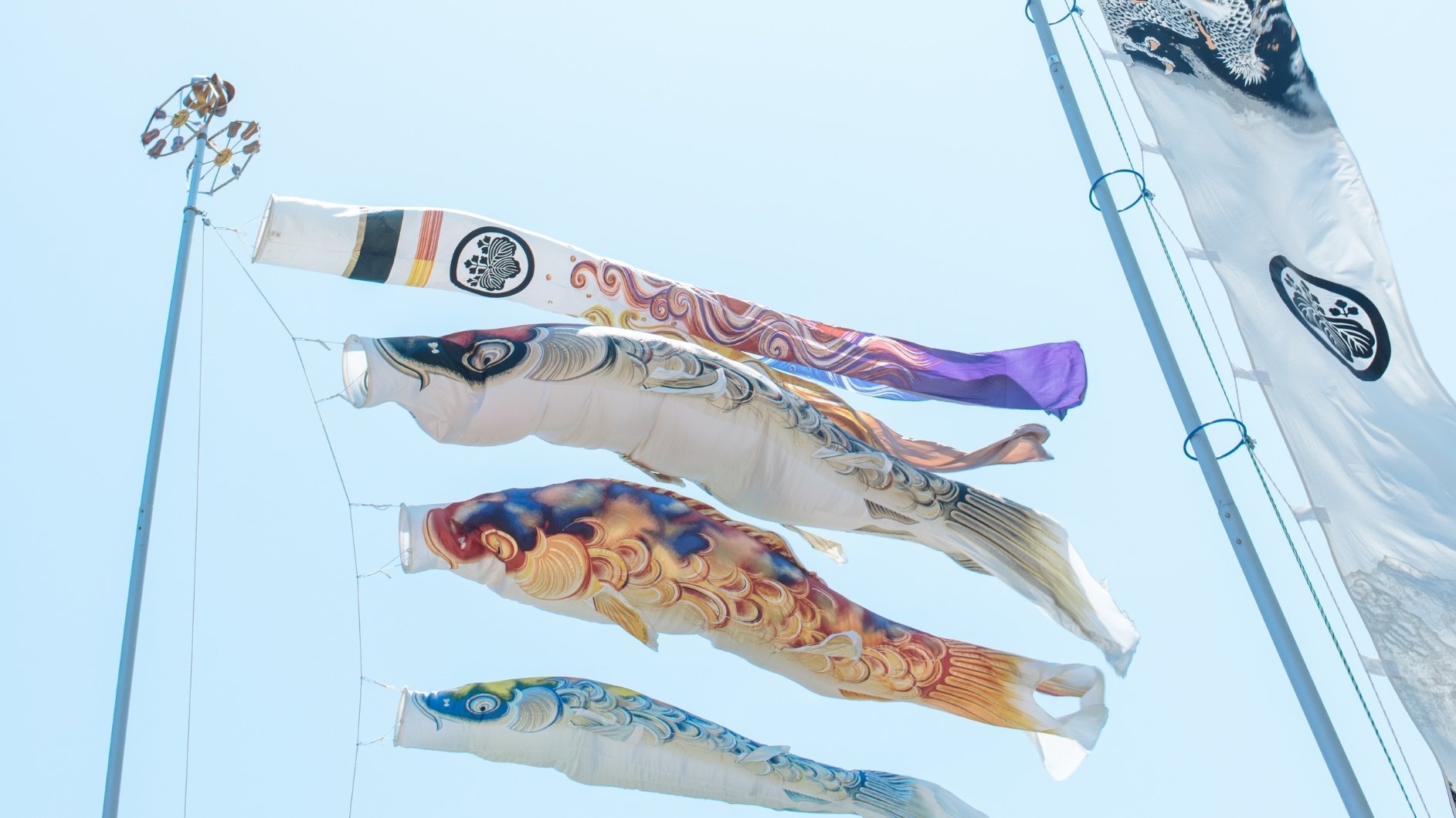 Koinobori flying through the wind