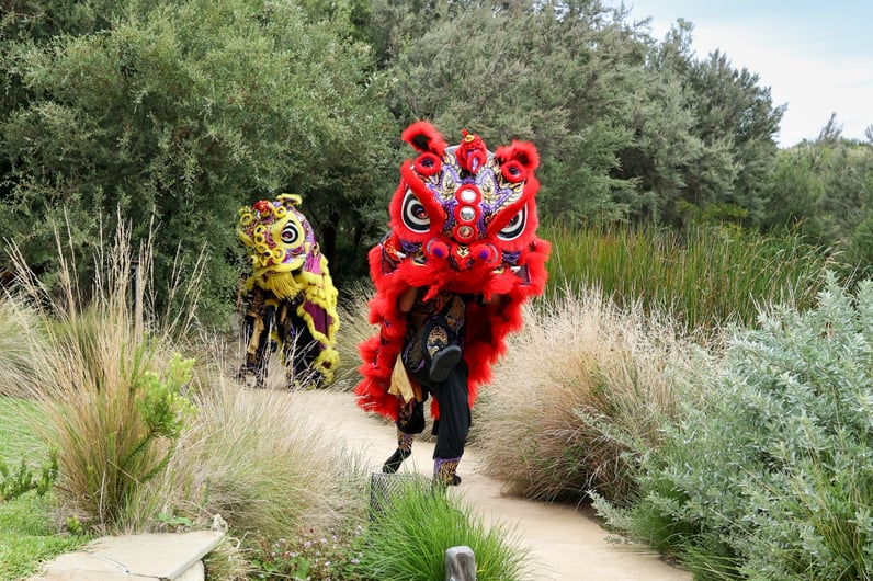 lunar new year at the springs