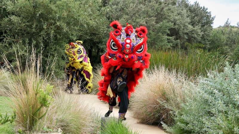 lunar new year at the springs