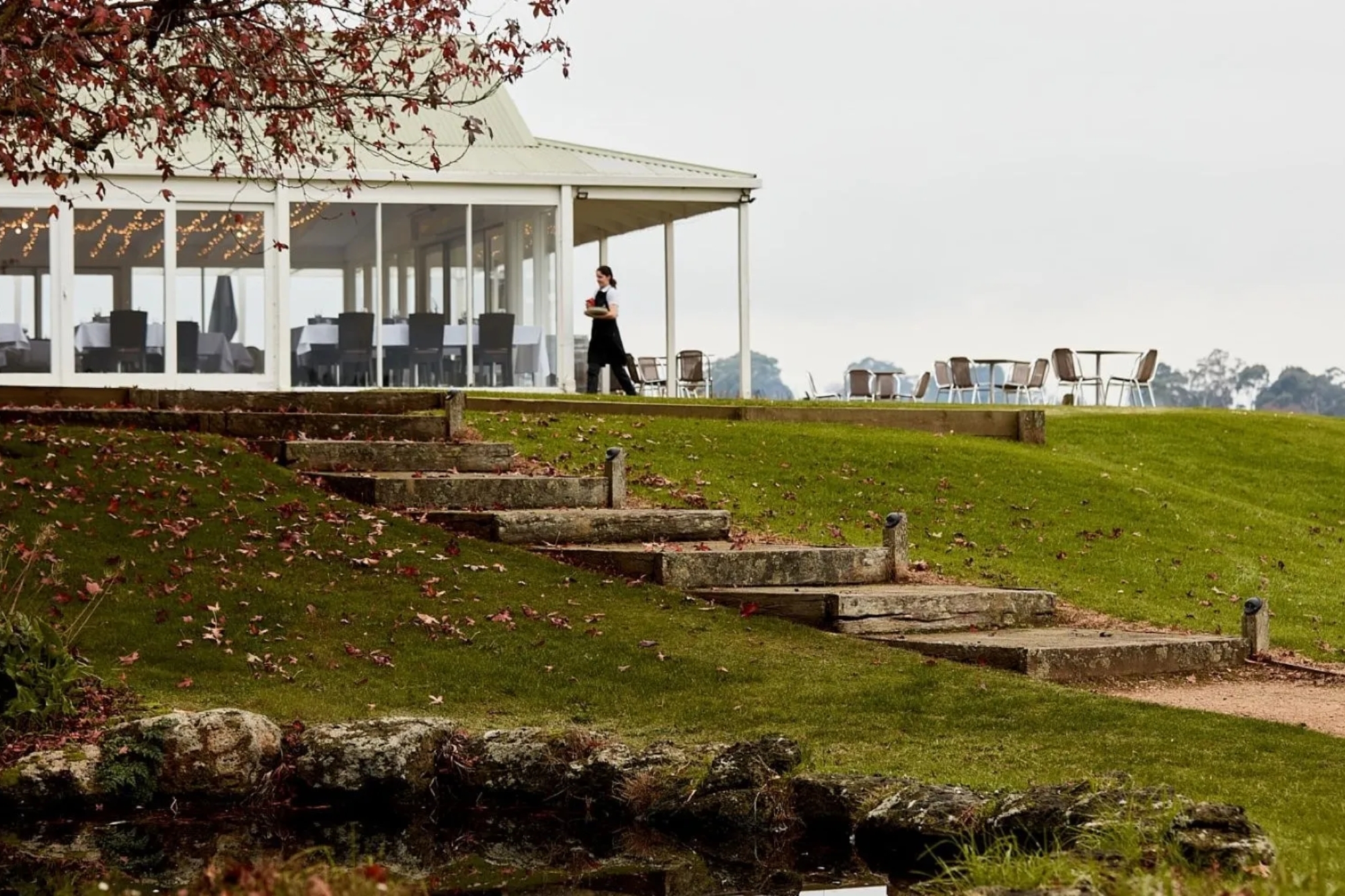 A wide shot of Max's Winery