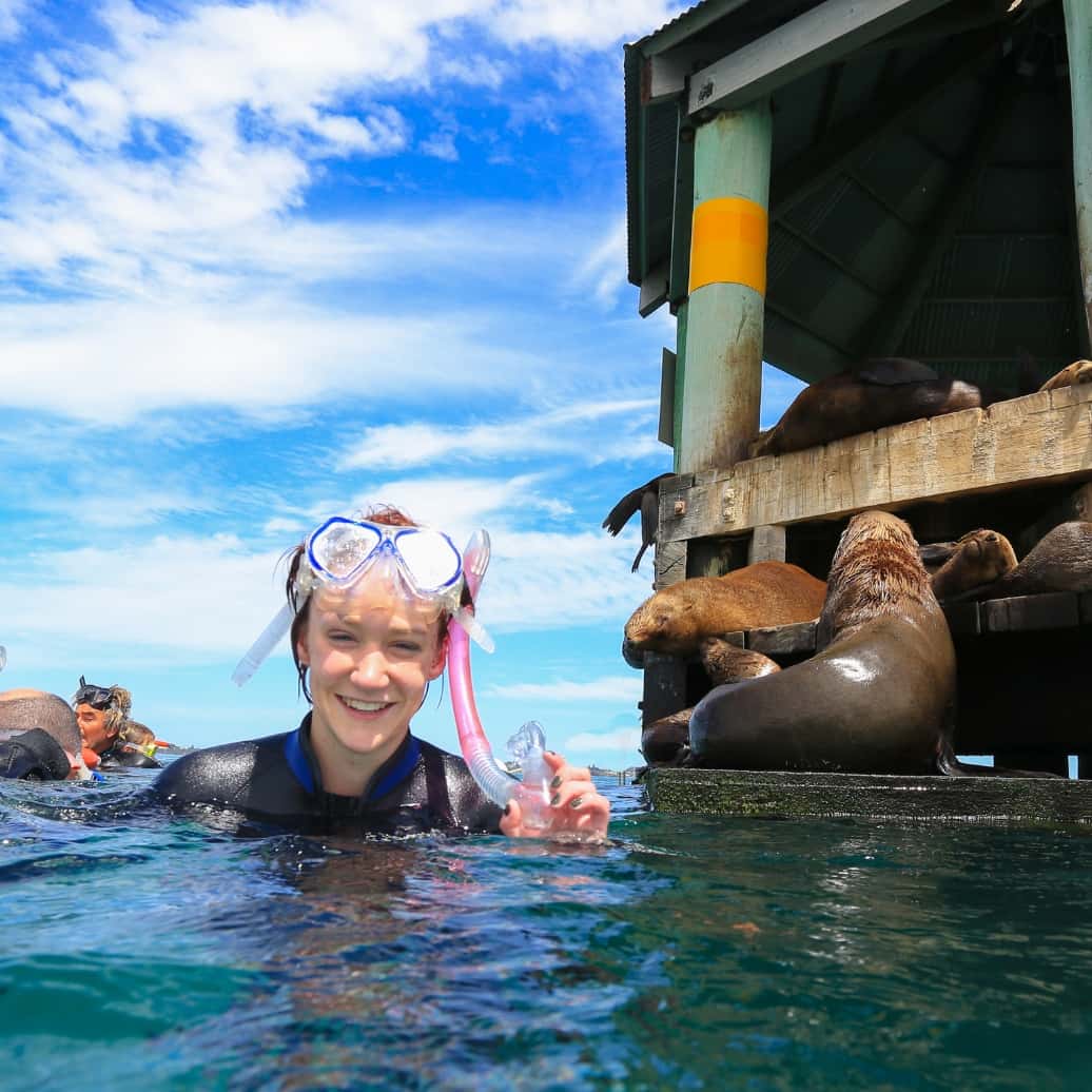 A young child with a snorkel on doing the Moonraker Charter experience