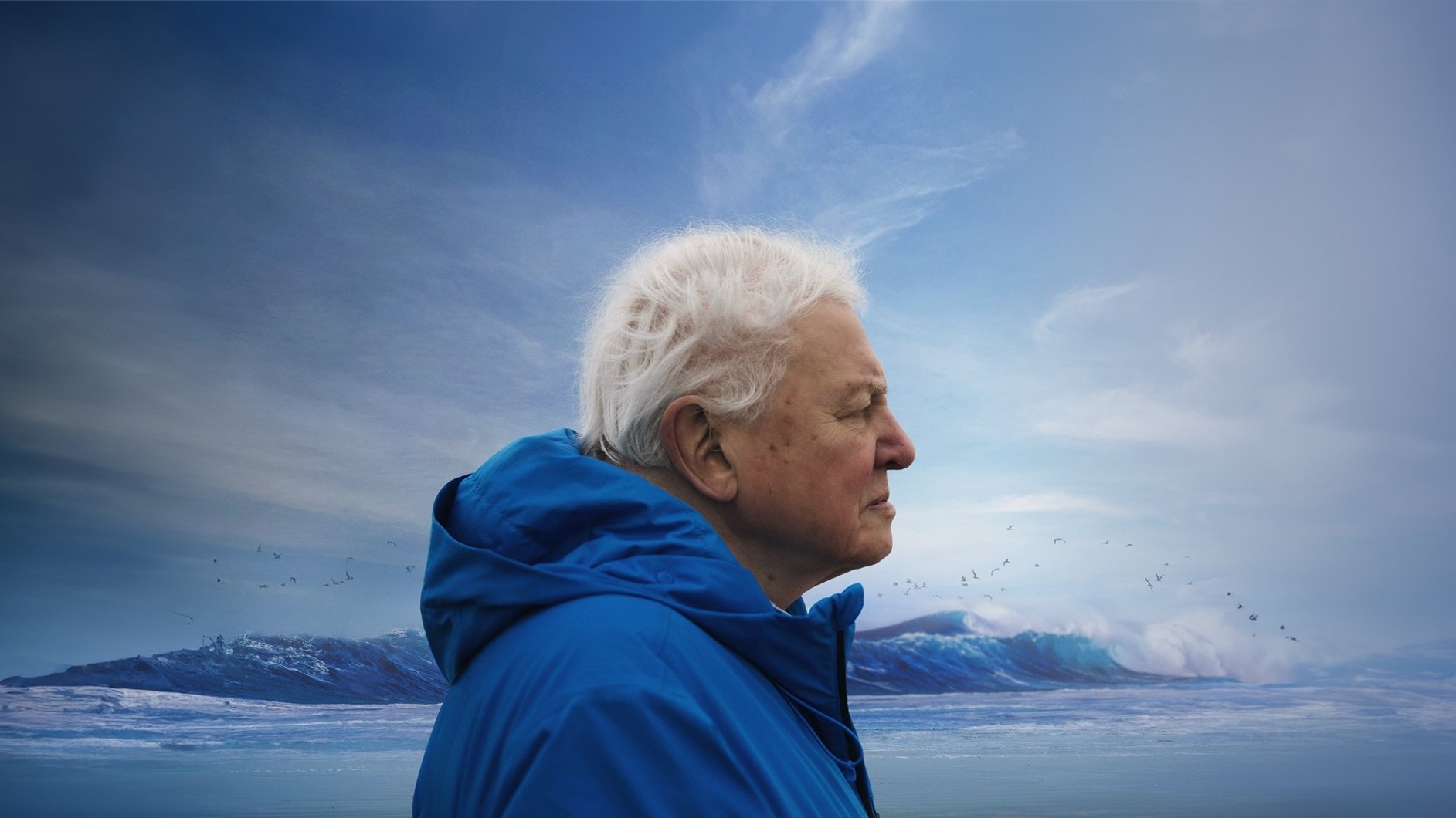 David Attenborough promotional content for Oceans