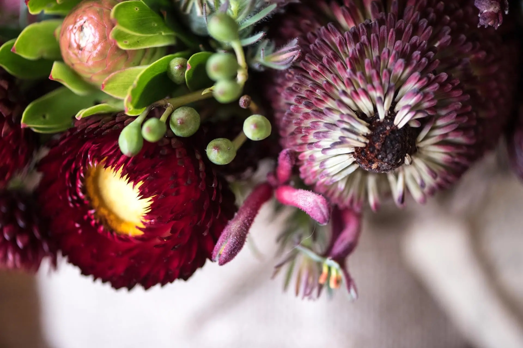 An arrangement of flowers