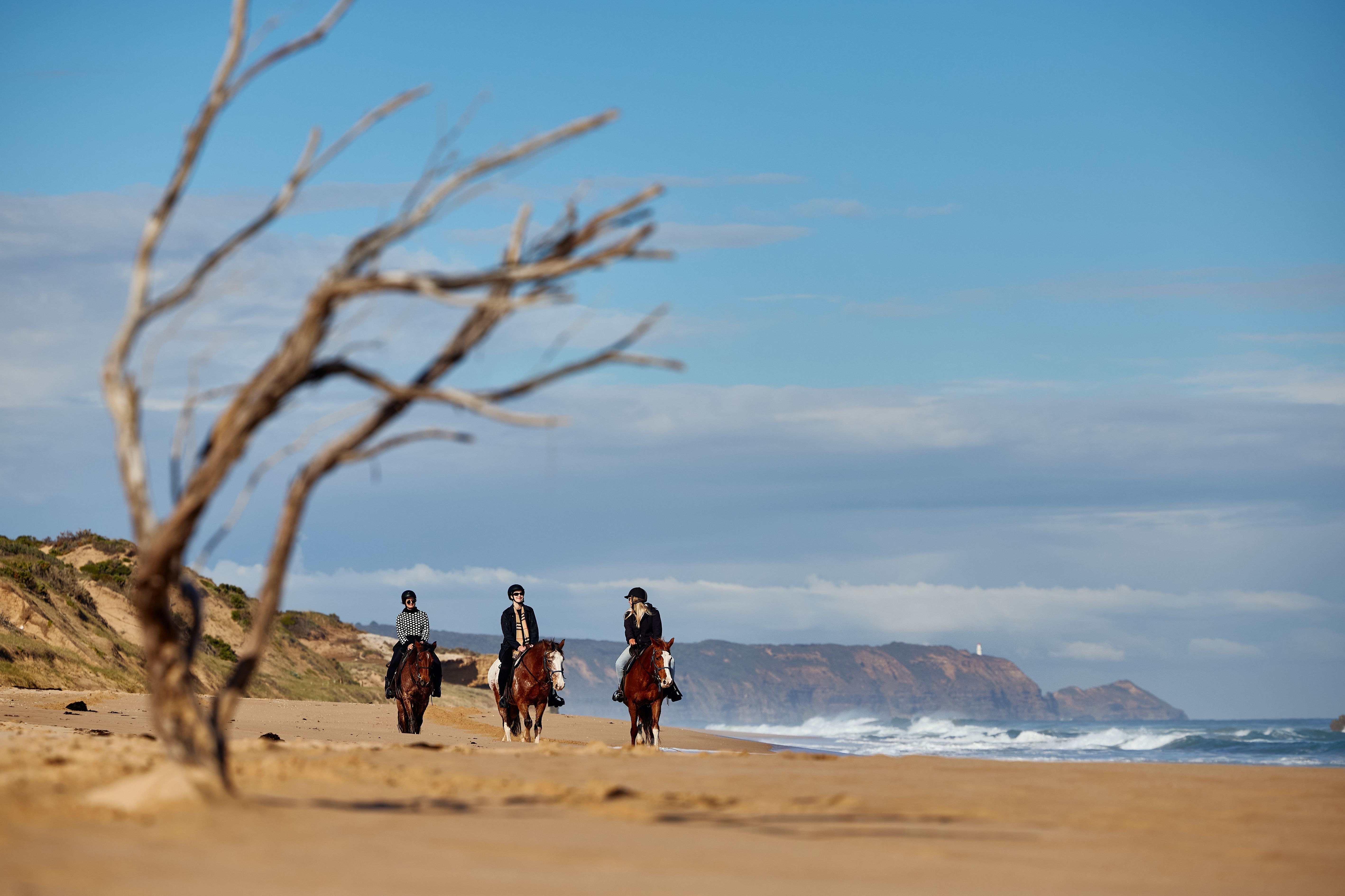 Three people on horses riding along the beach