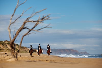 Three people on horses riding along the beach