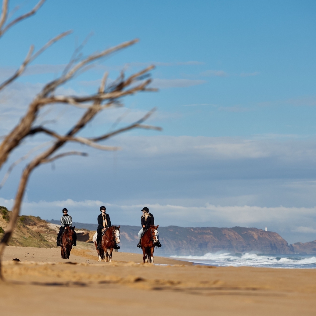 Three people on horses riding along the beach