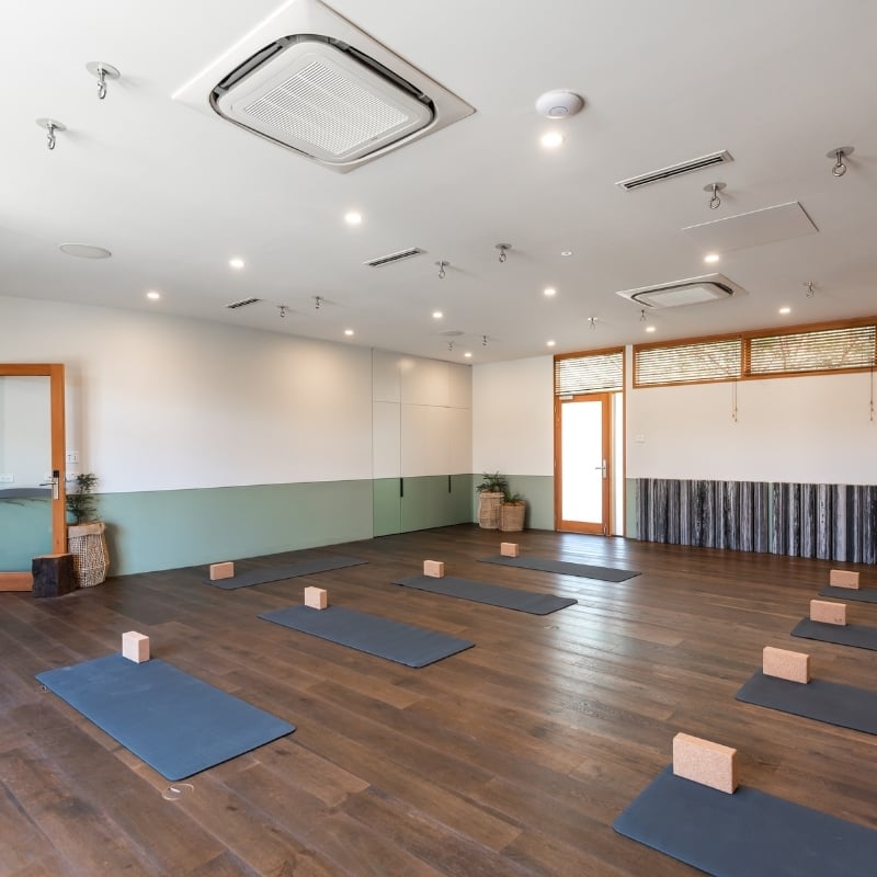 Multiple yoga mats laid out in the studio in preparation for a yoga class