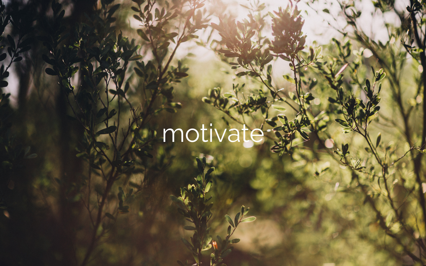 motivate.png