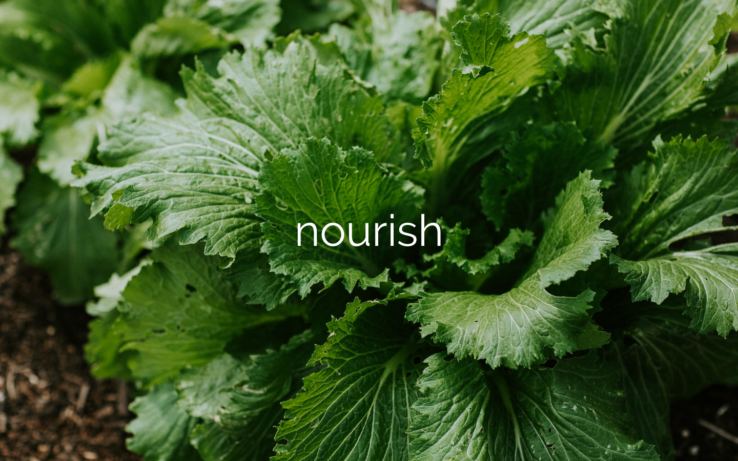 nourish.png