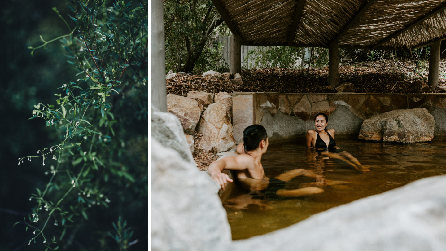 bathing-experience-peninsula-hot-springs.png