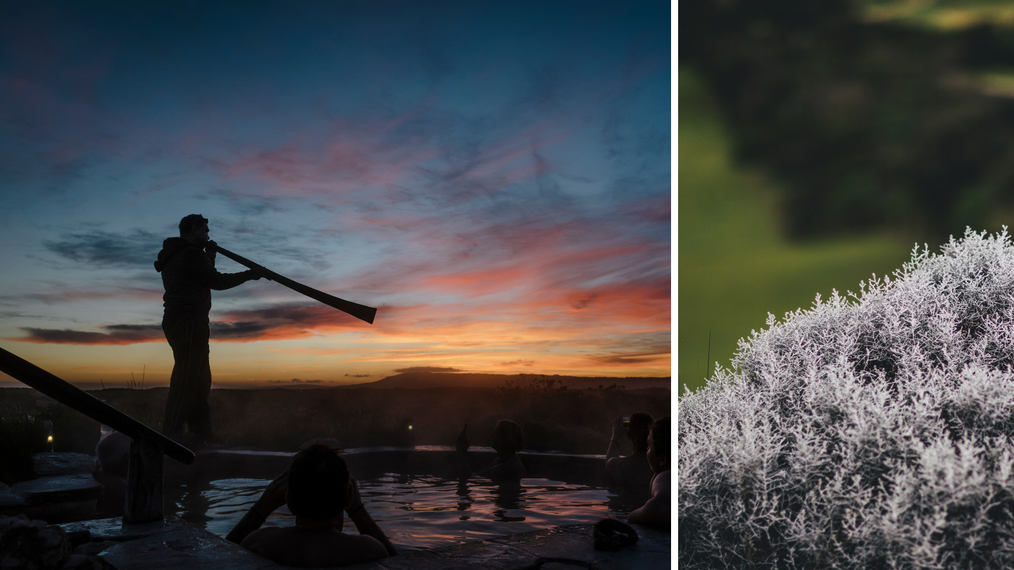 naidoc-week-at-peninsula-hot-springs.png