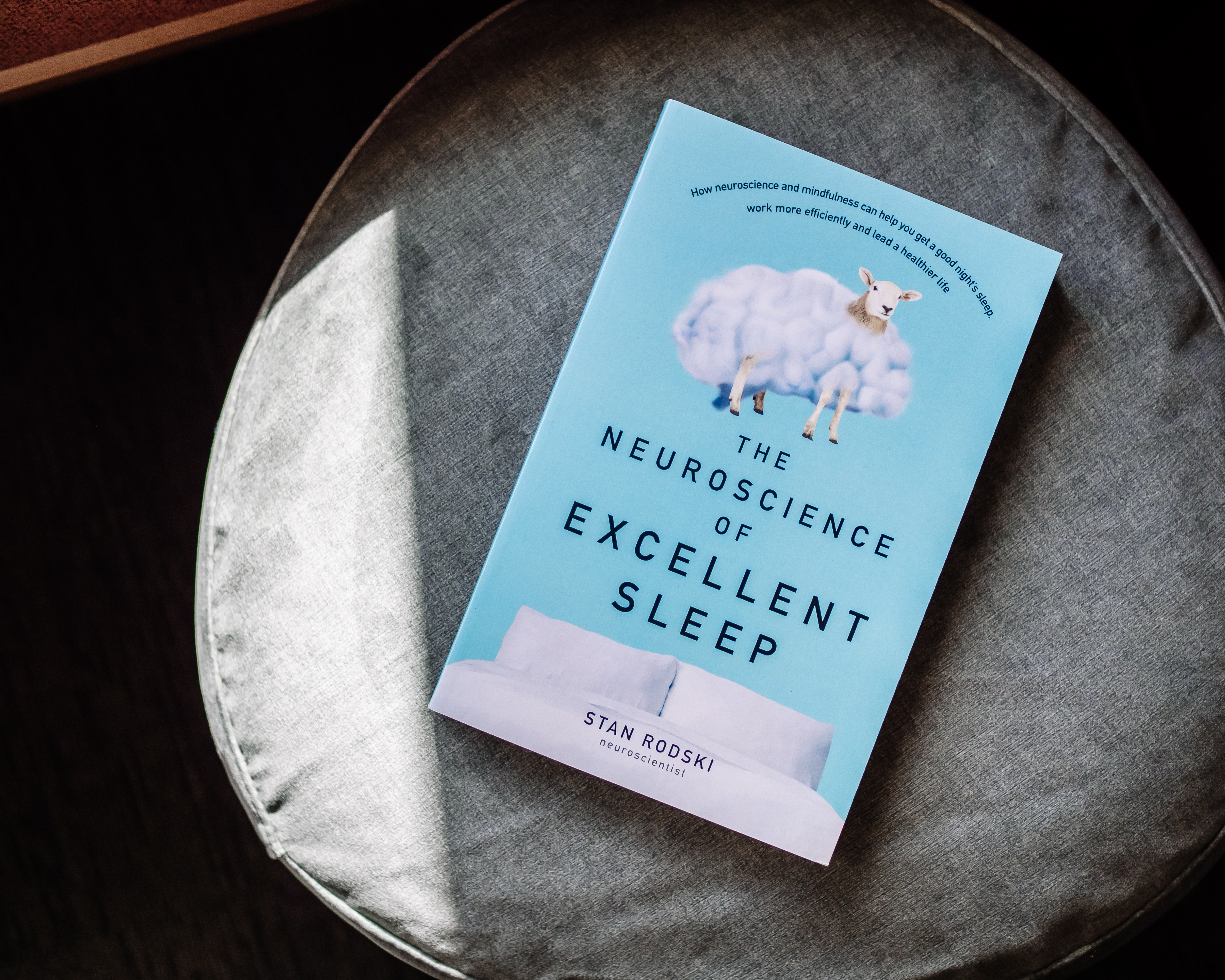 The Neuroscience of Excellent Sleep book by Stan Rodski